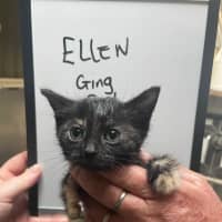 Photo of Ellen