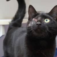 Photo of Lucky Jackie