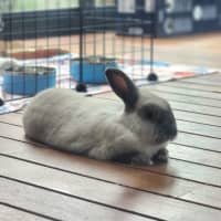 Photo of Billie Vacher