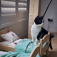 Photo of Amelia & Georgie   In Foster Care In Northcote