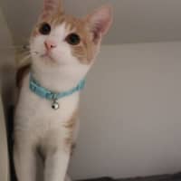 Photo of Lenny