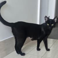 Photo of 12913   Leela