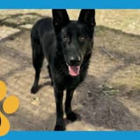 Photo of Storm