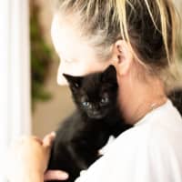 Photo of Jet