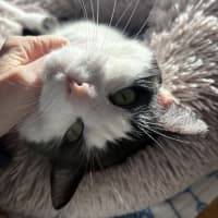 Photo of Bernie