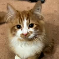 Photo of Benny