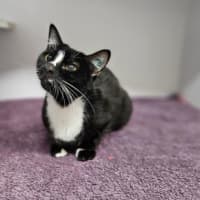 Photo of Rosy