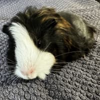 Photo of Hot Chocolate*