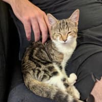 Photo of Dottie Golden