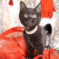 Photo of Ripley