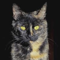 Photo of Juliet