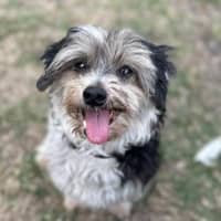 Photo of Libby & Jack