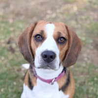 Photo of Kiki