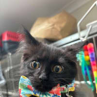 Photo of Minnie & Mickey