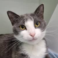 Photo of Inara (Was Minerva)