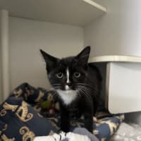 Photo of Jolene