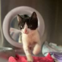 Photo of Lettie