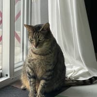 Photo of Beans