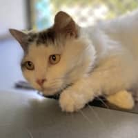 Photo of Franklin