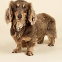 Photo of Matilda