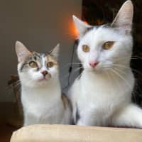 Photo of Aiko And Emiri 🌺💙