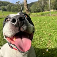 Photo of Biggie Smallz