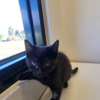 Photo of Nimbus And Storm