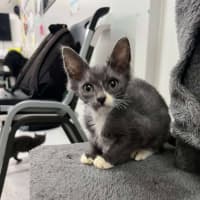 Photo of Buzz