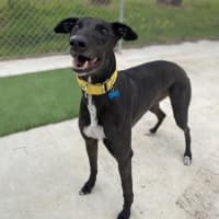 Photo of Hurricane