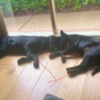 Photo of Jacky Weaver