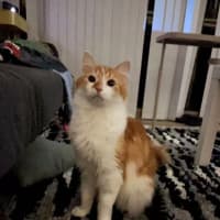 Photo of Tony Pepperoni