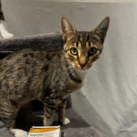 Photo of Catlin