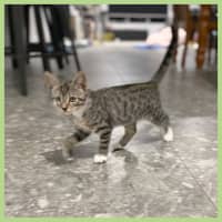 Photo of Lola