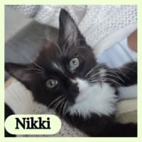 Photo of Nikki