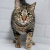 Photo of Tara