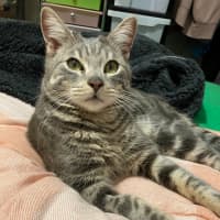 Photo of Big Ted & Little Roger