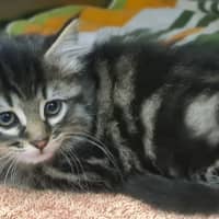 Photo of Rosalita