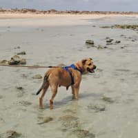 Photo of Ruby