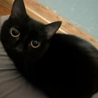 Photo of Ms Milo