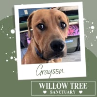 Photo of Grayson