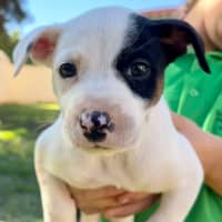 Photo of Minnie Mouse