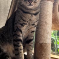Photo of Vinny