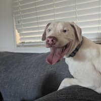 Photo of Whitey