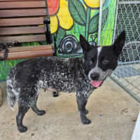 Photo of Snowy! ❄️