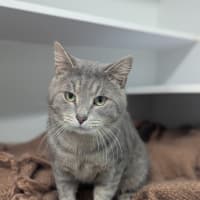 Photo of Storm 