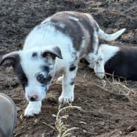 Photo of Sprout
