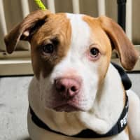 Photo of Ernie