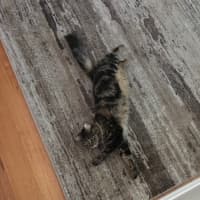 Photo of Hazel
