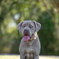 Photo of Sienna