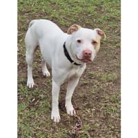 Photo of Jasper
